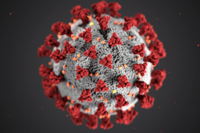 Abbildung: Coronavirus