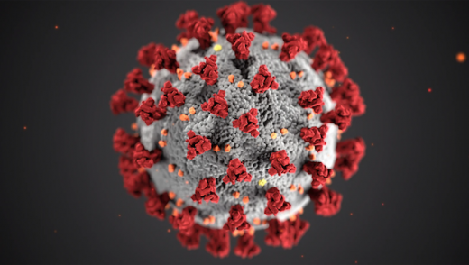 Abbildung: Coronavirus